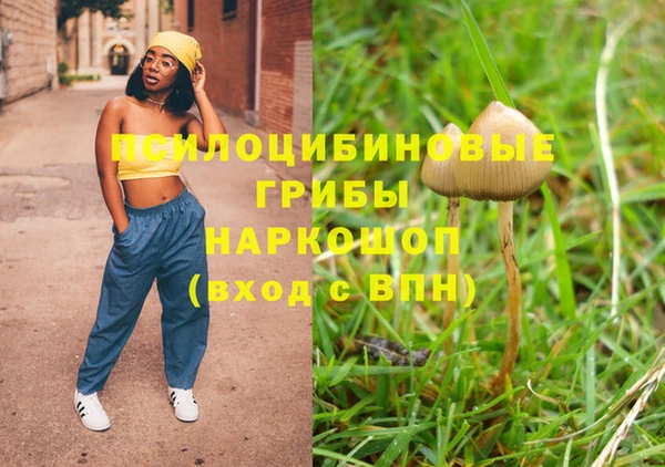 ALPHA PVP Козельск